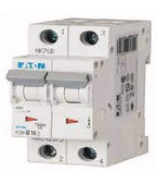 PLSM - C20/2 Thermal Magnetic Circuit Breaker